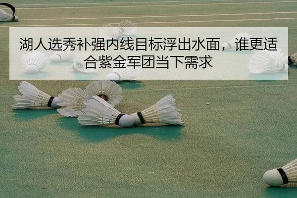 湖人选秀补强内线目标浮出水面，谁更适合紫金军团当下需求 - DouYu